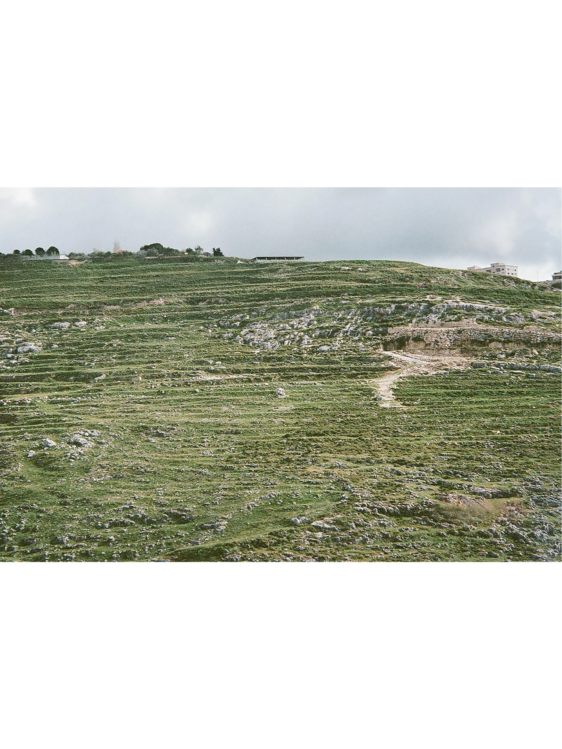 Untitled, Shahour April 2025