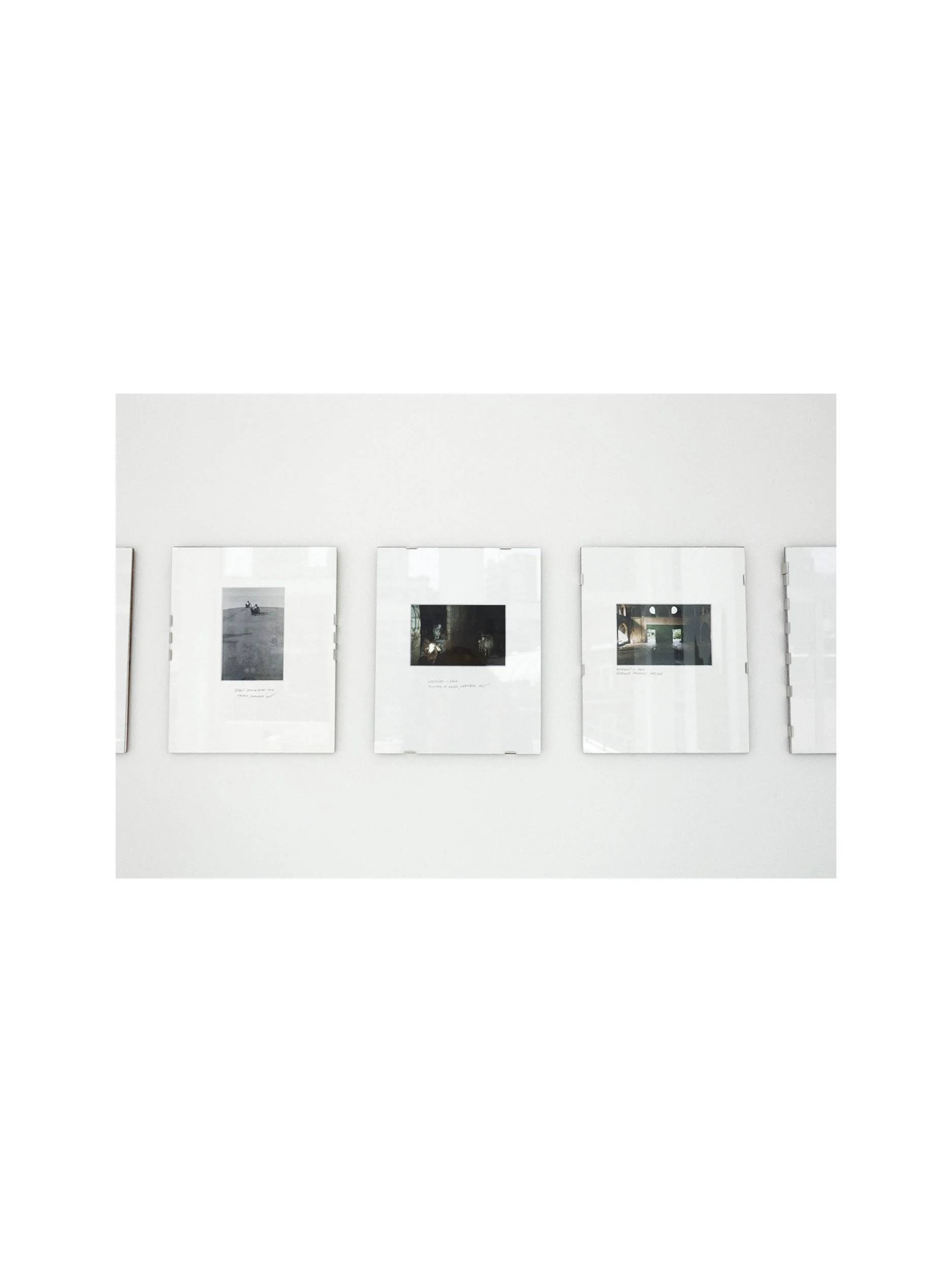 Akkarcolor framed.jpg