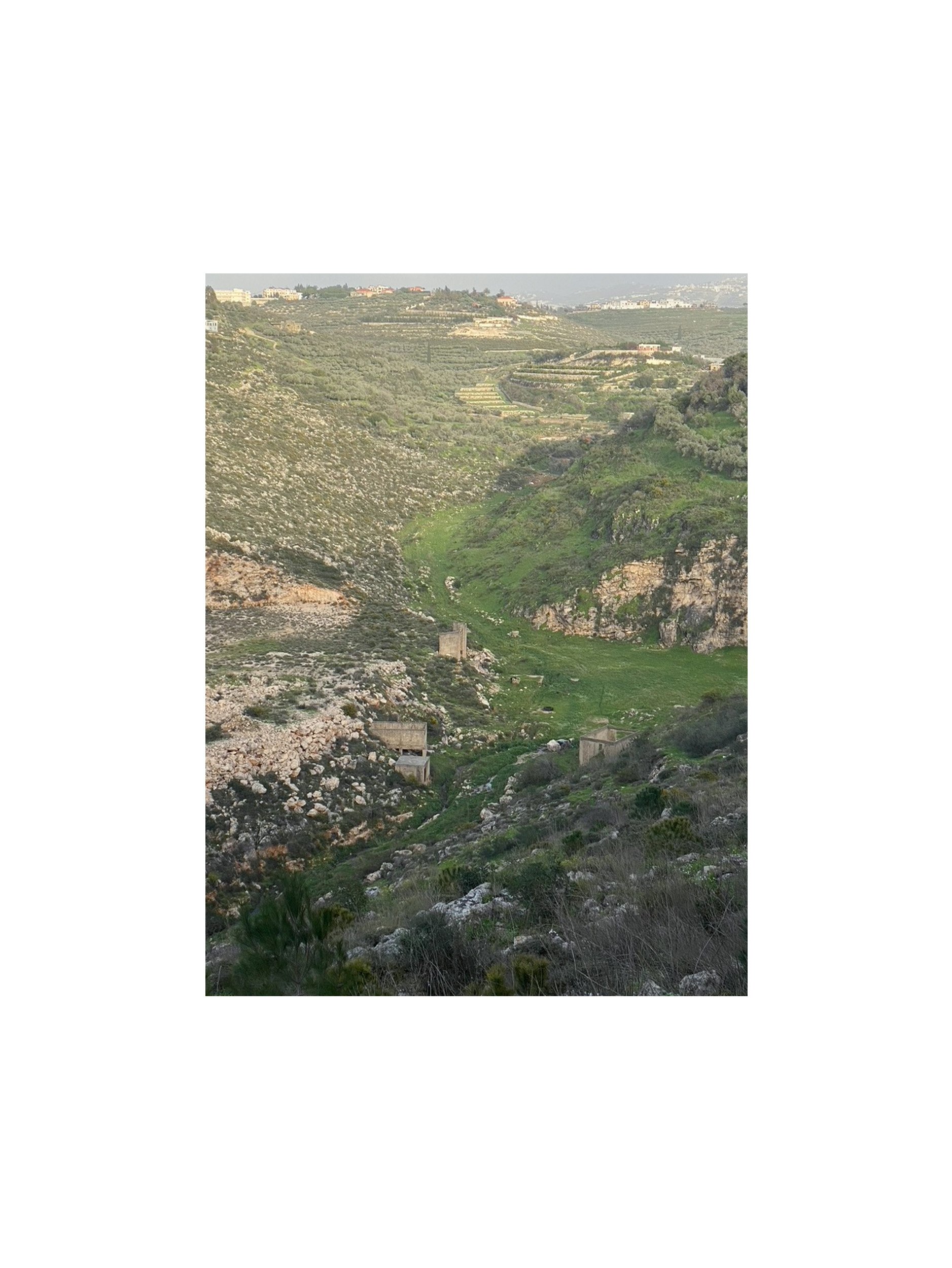 Untitled, Bhamdoun Feb 2026 3.jpg