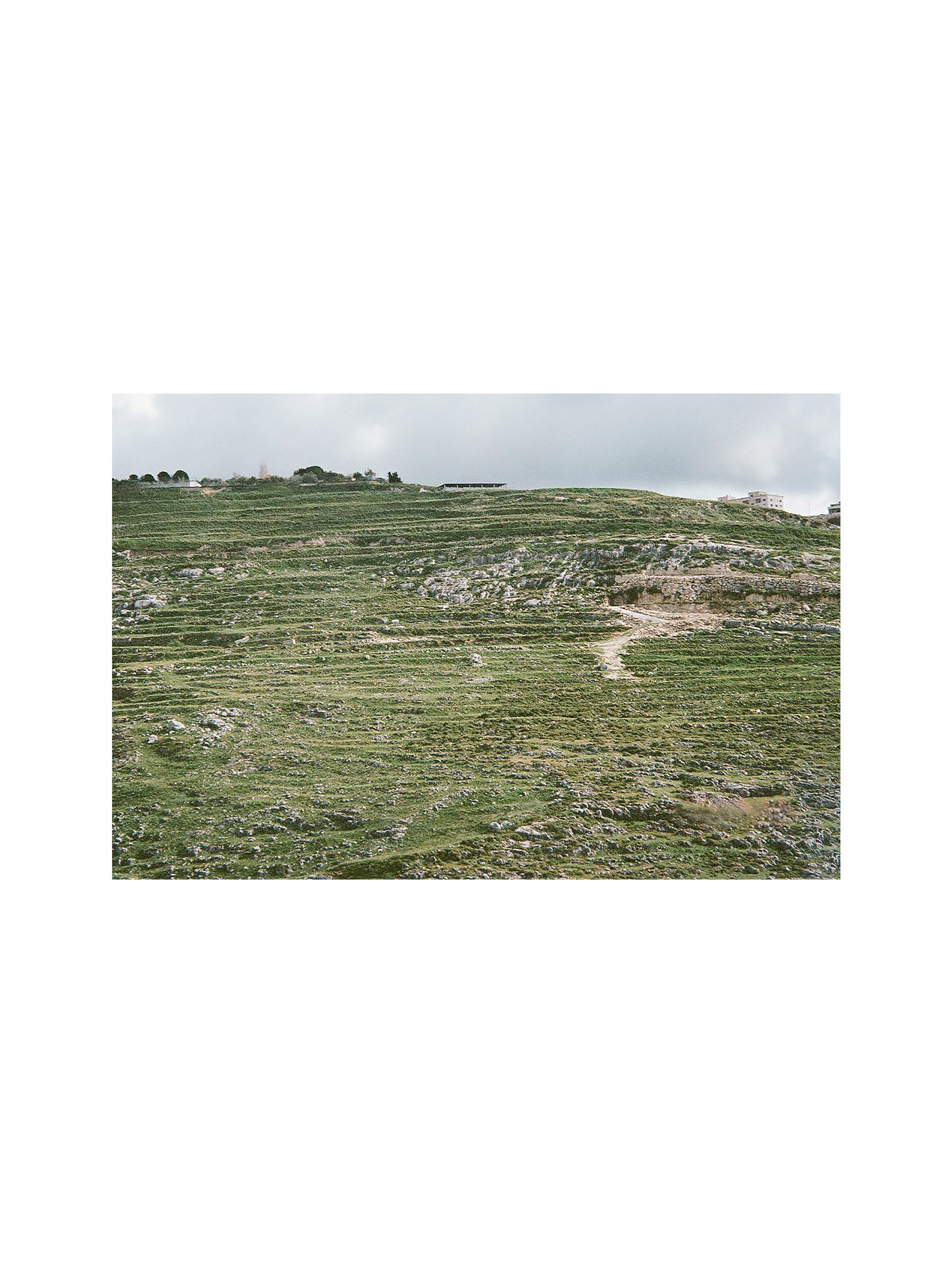 Untitled, Shahour April 2025b.jpg
