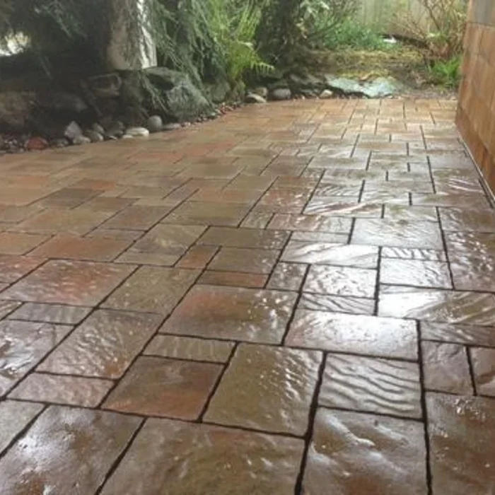 Wet paver stone patio with plants and rocks along the edge.