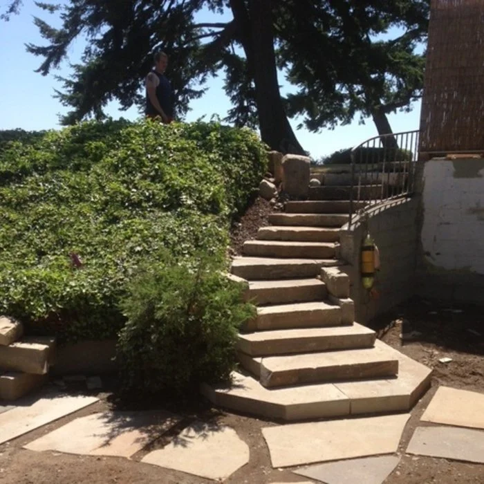 Concrete steps with a curved design in an outdoor area, surrounded by trees and bushes, with a person standing at the top of the stairs.