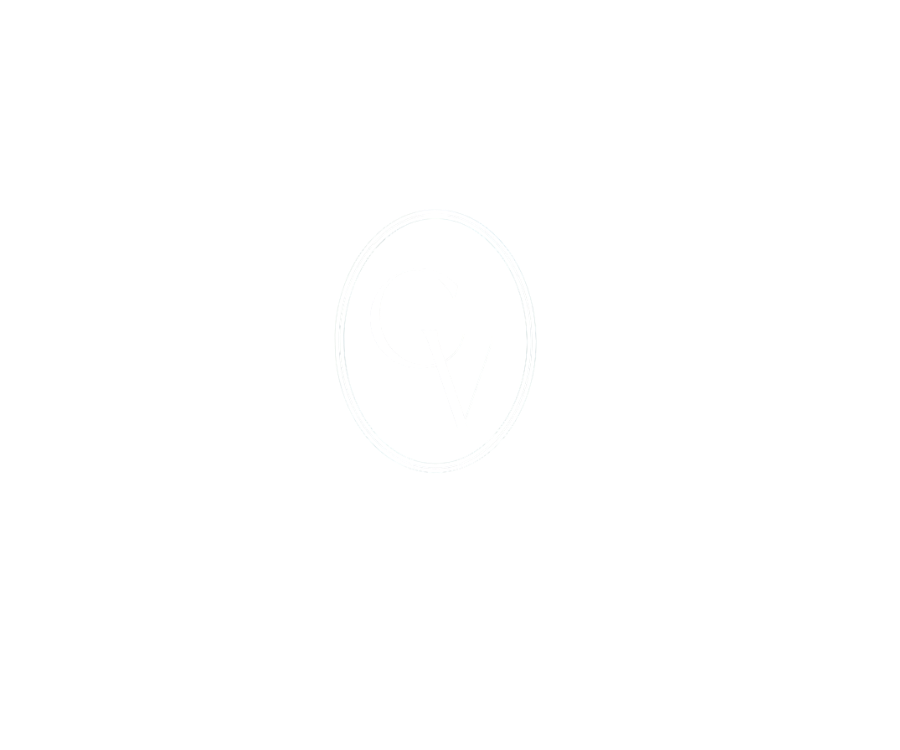 CV INVESTMENT GROUP