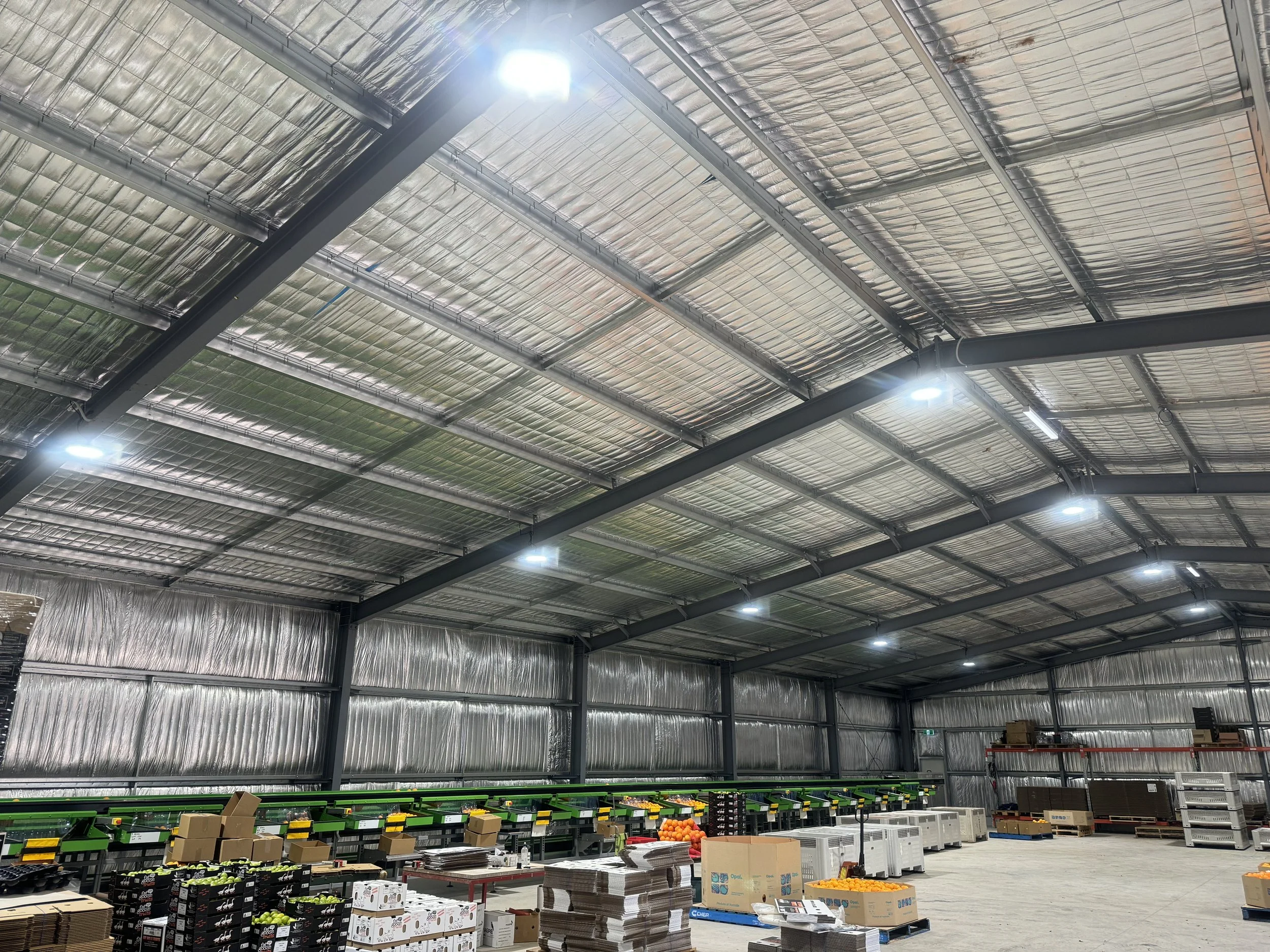 Interior view of a warehouse with a high curved metal roof, fluorescent lights, and organized produce and boxes on shelves and the floor.