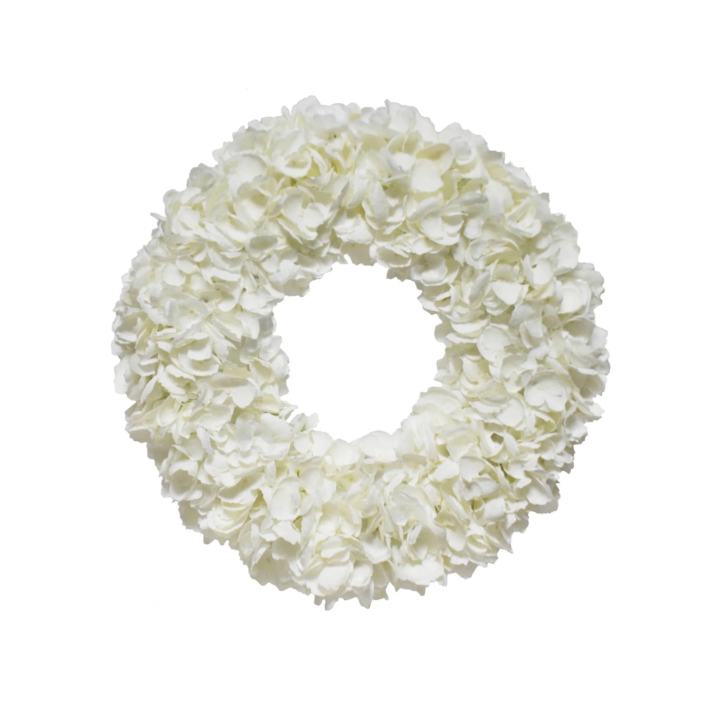 20" DRIED HYDRANGEA (WHITE)