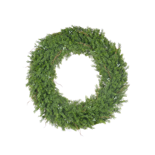 XP082081-GR.png
