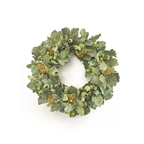 24'' DUSTY MILLER (GREEN)