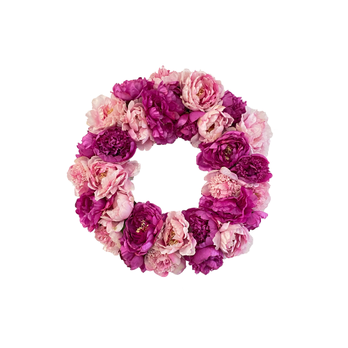 24''PEONY (AMERICAN BEAUTY)