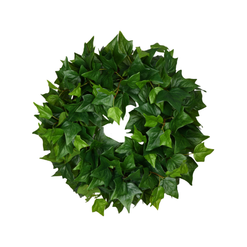 24'' IVY (GREEN)