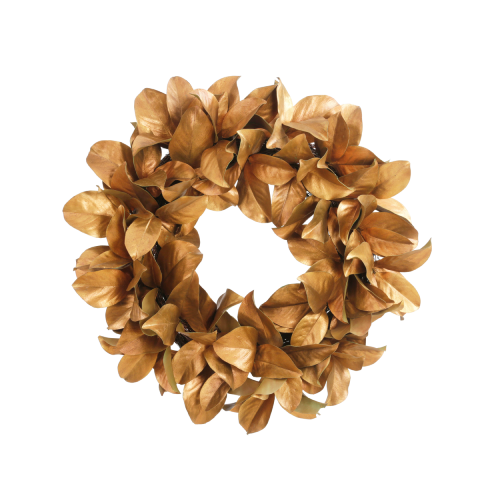 XP065019-GOBR.png