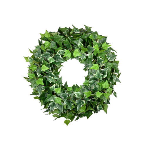32''  IVY (VARIEGATED GREEN)