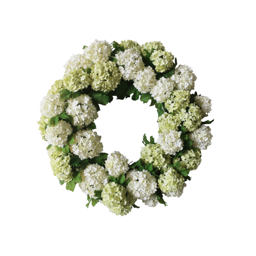 24'' SNOWBALL (WHITE/GREEN)