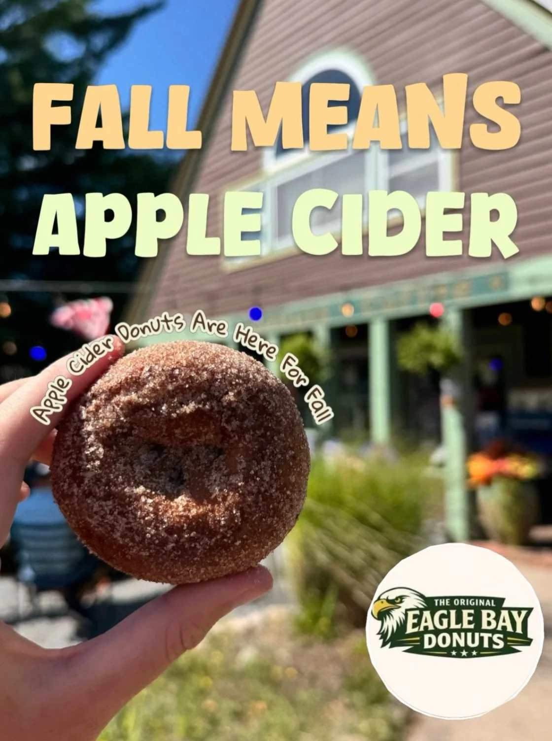 Apple Cider Donuts are HERE! Plain or cinnamon sugar, but only for a limited time!

Come get your fall fix.