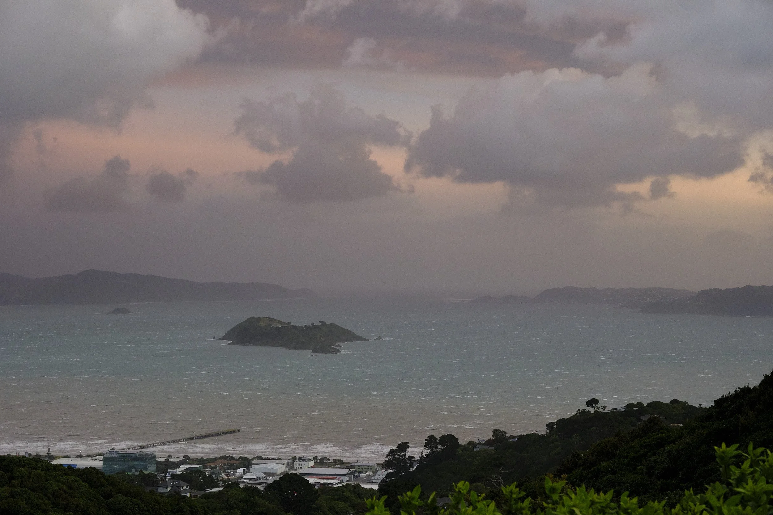DSCF6078-LS.jpg