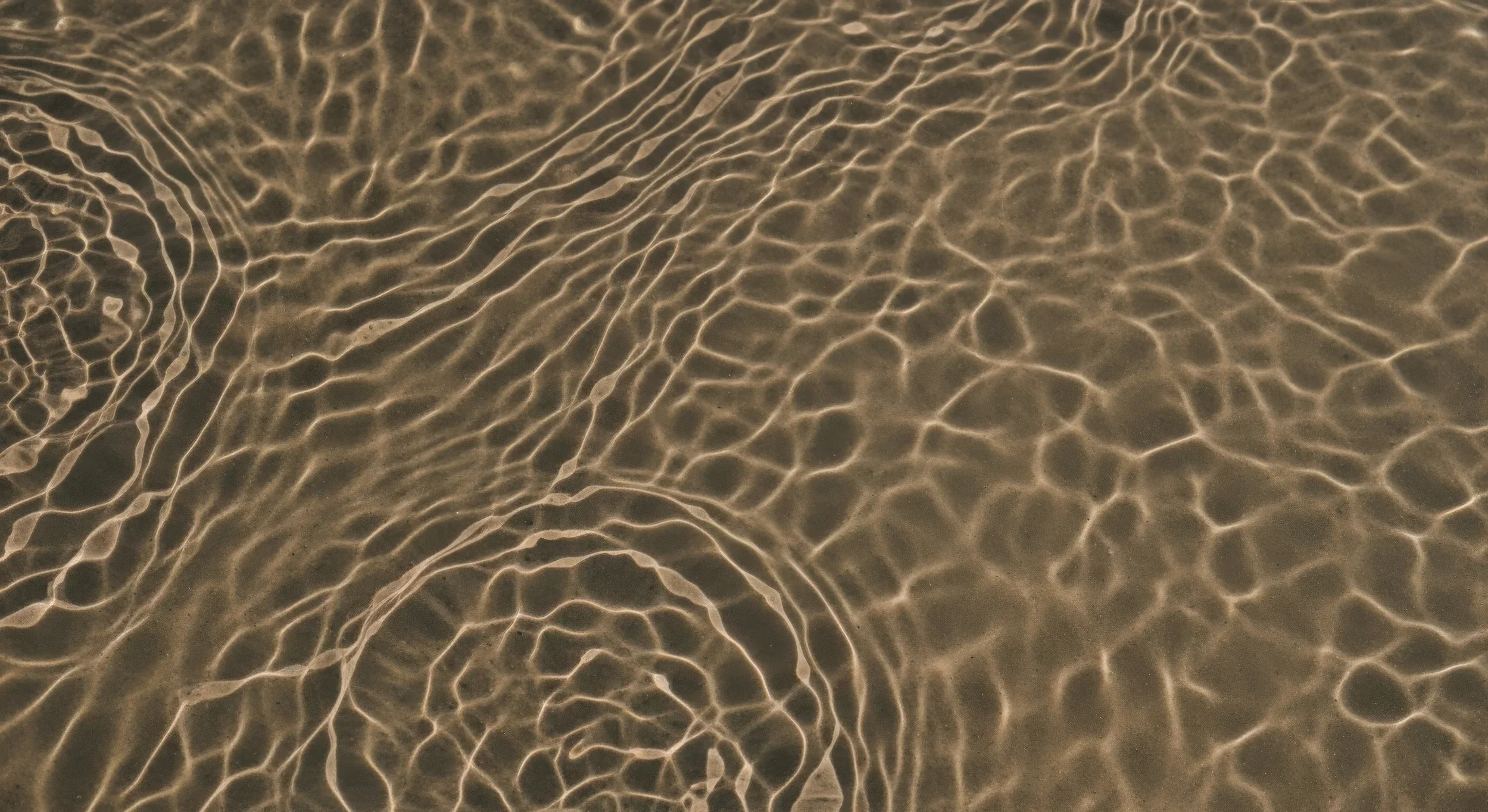 Sunlight reflecting on the surface of water, creating a pattern of glowing, irregular lines.