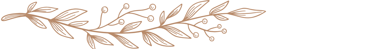 Decorative brown botanical branch illustration with leaves and berries.
