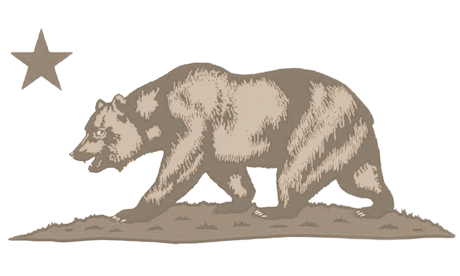 Illustration of a bear walking on a ground with a star above it.