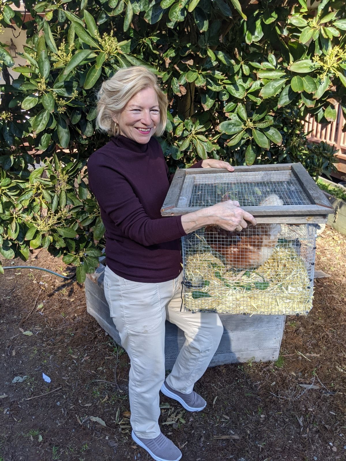 A smiling woman holding a chicken inside a wire cage in a garden with green leafy bushes in the background.