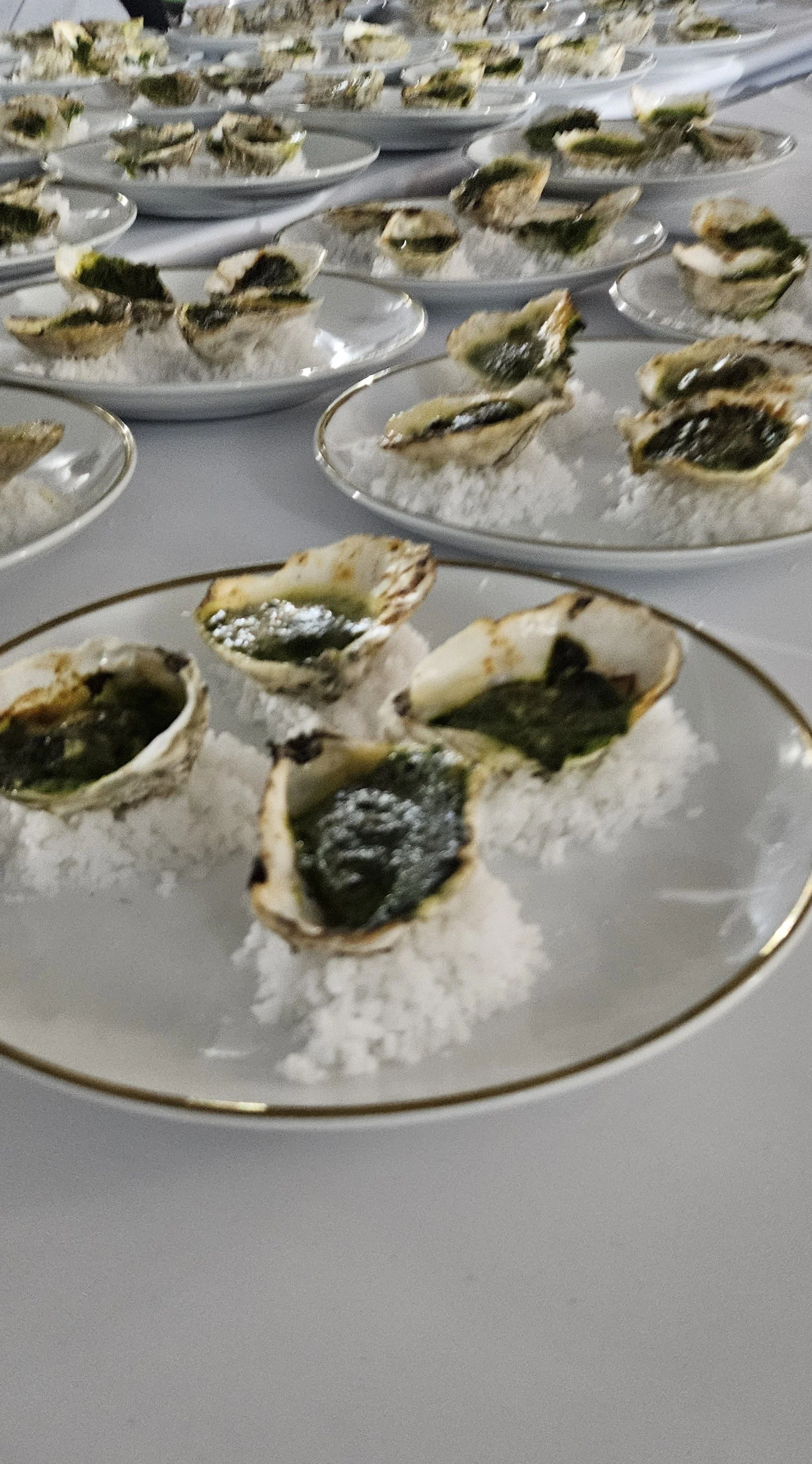 oysterausyria.jpg