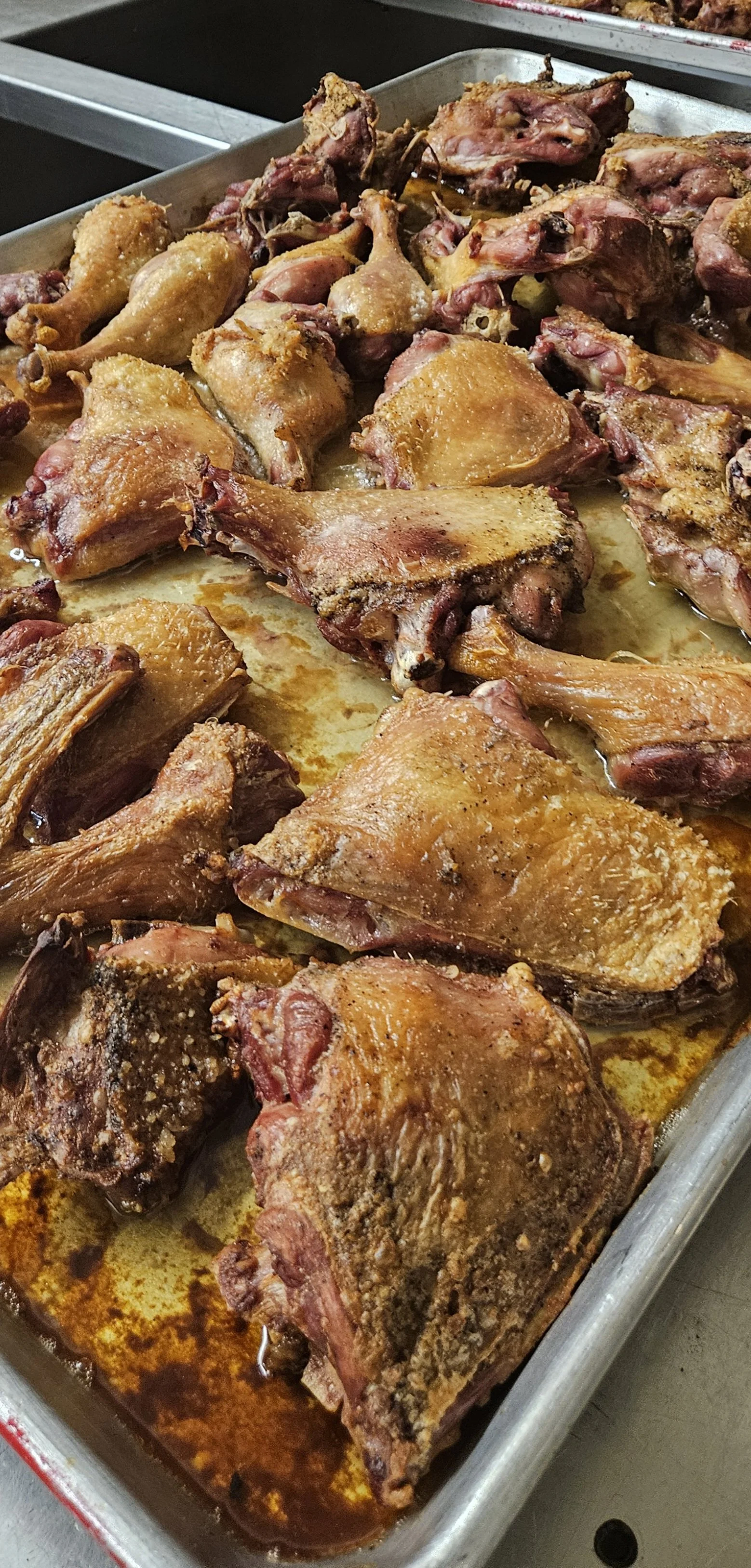 chickaus.jpg