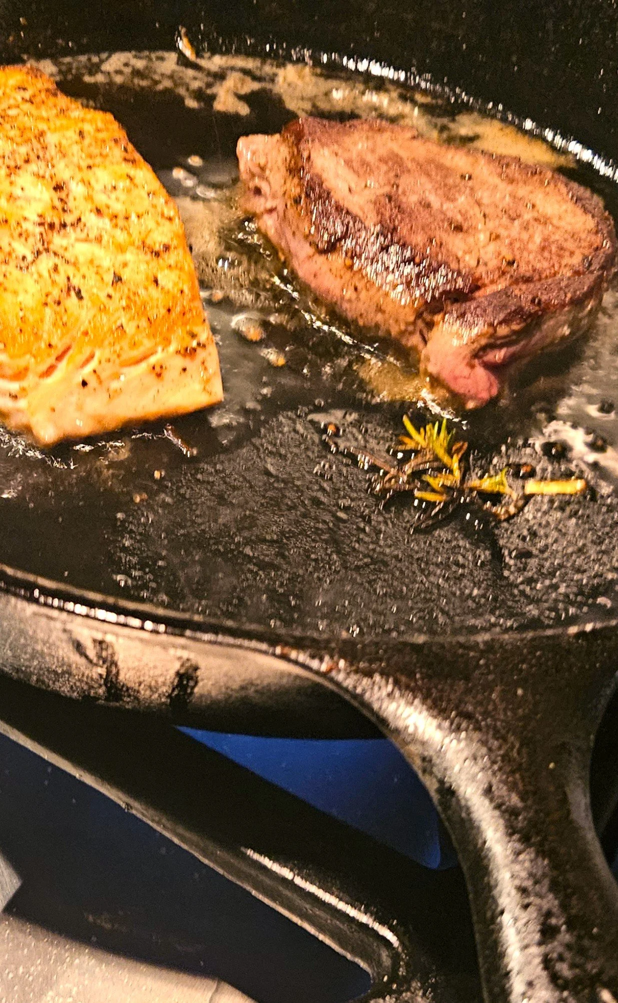 steaksalmonpic.jpg