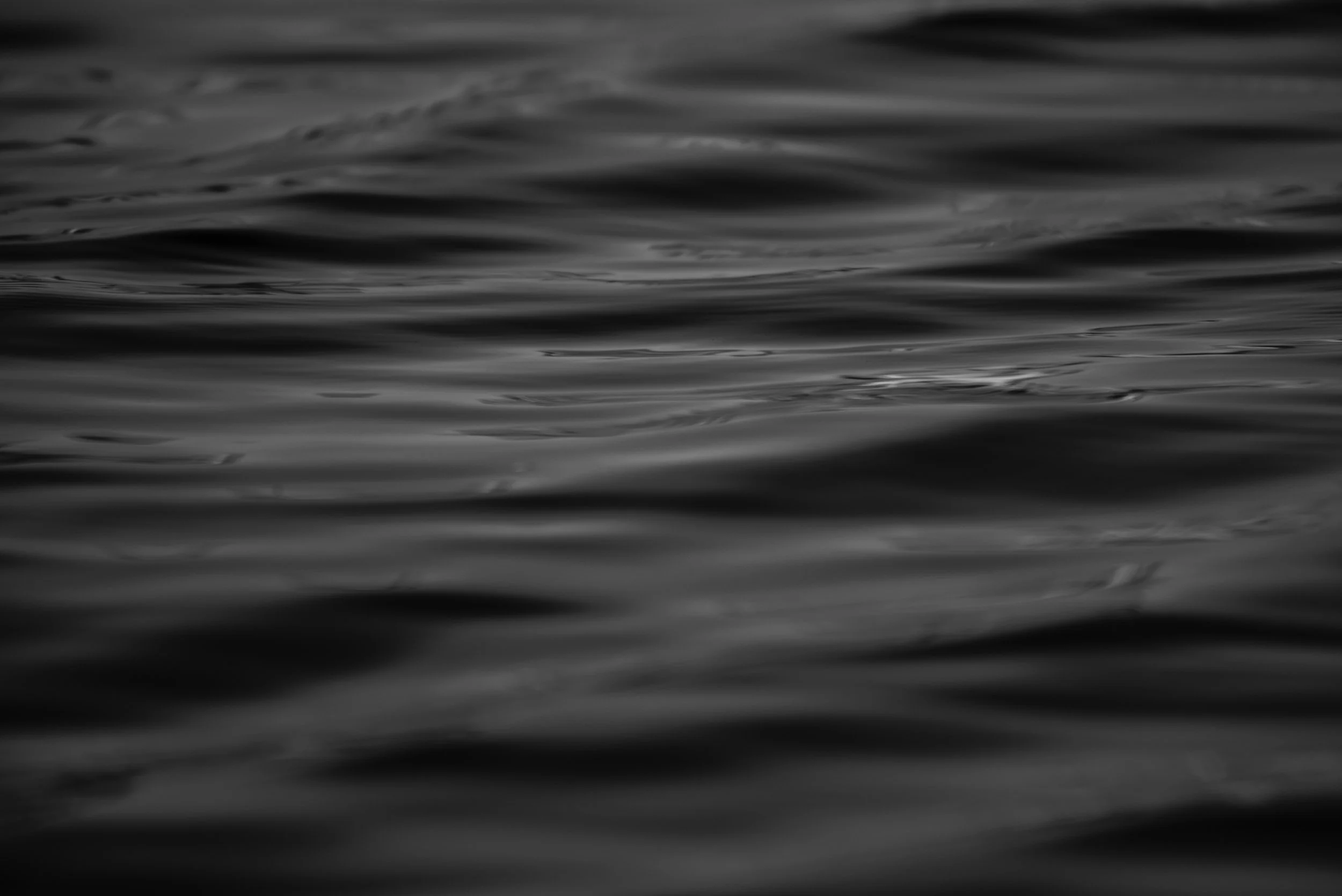 DSC_1556.jpeg