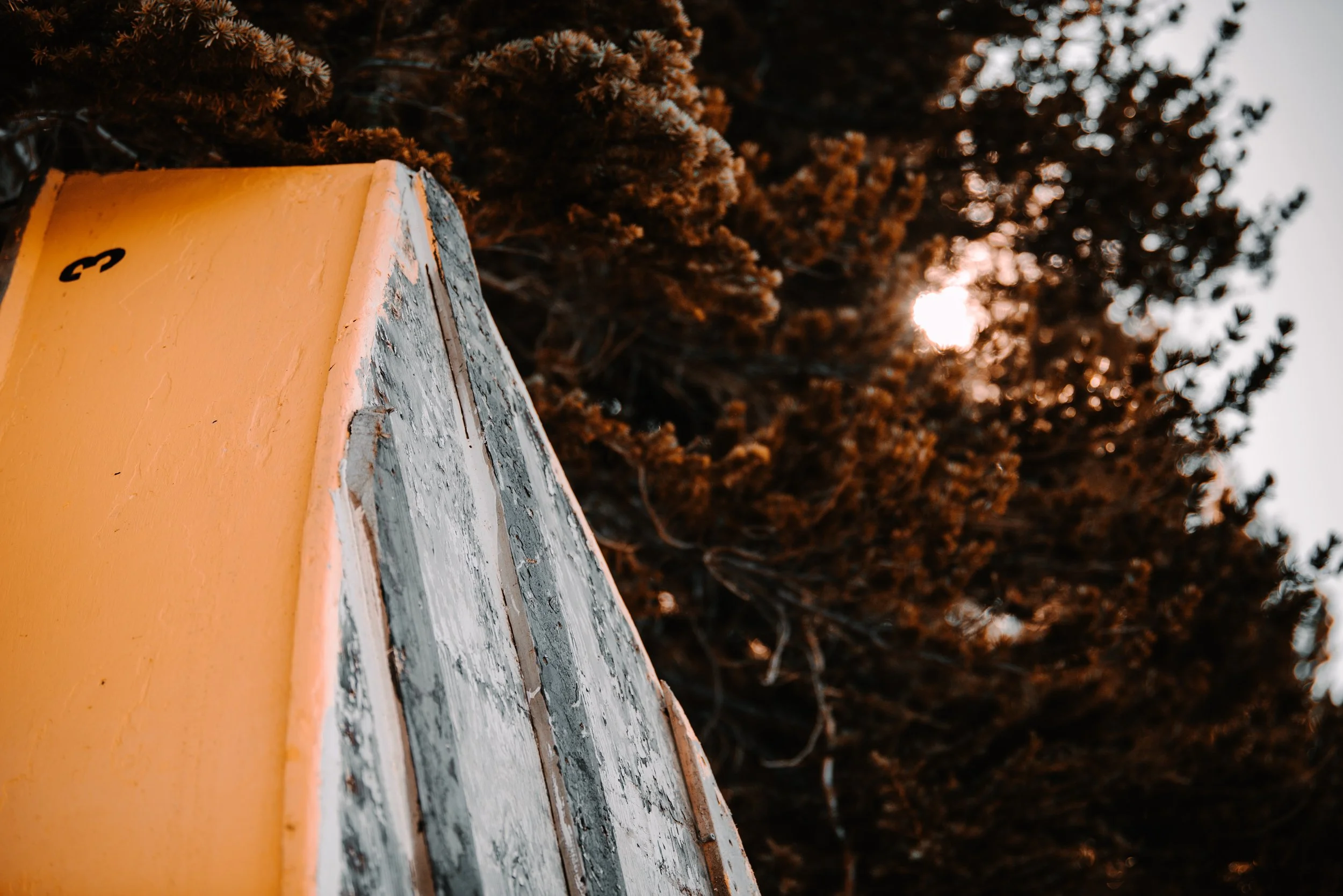 DSC_2558.jpeg
