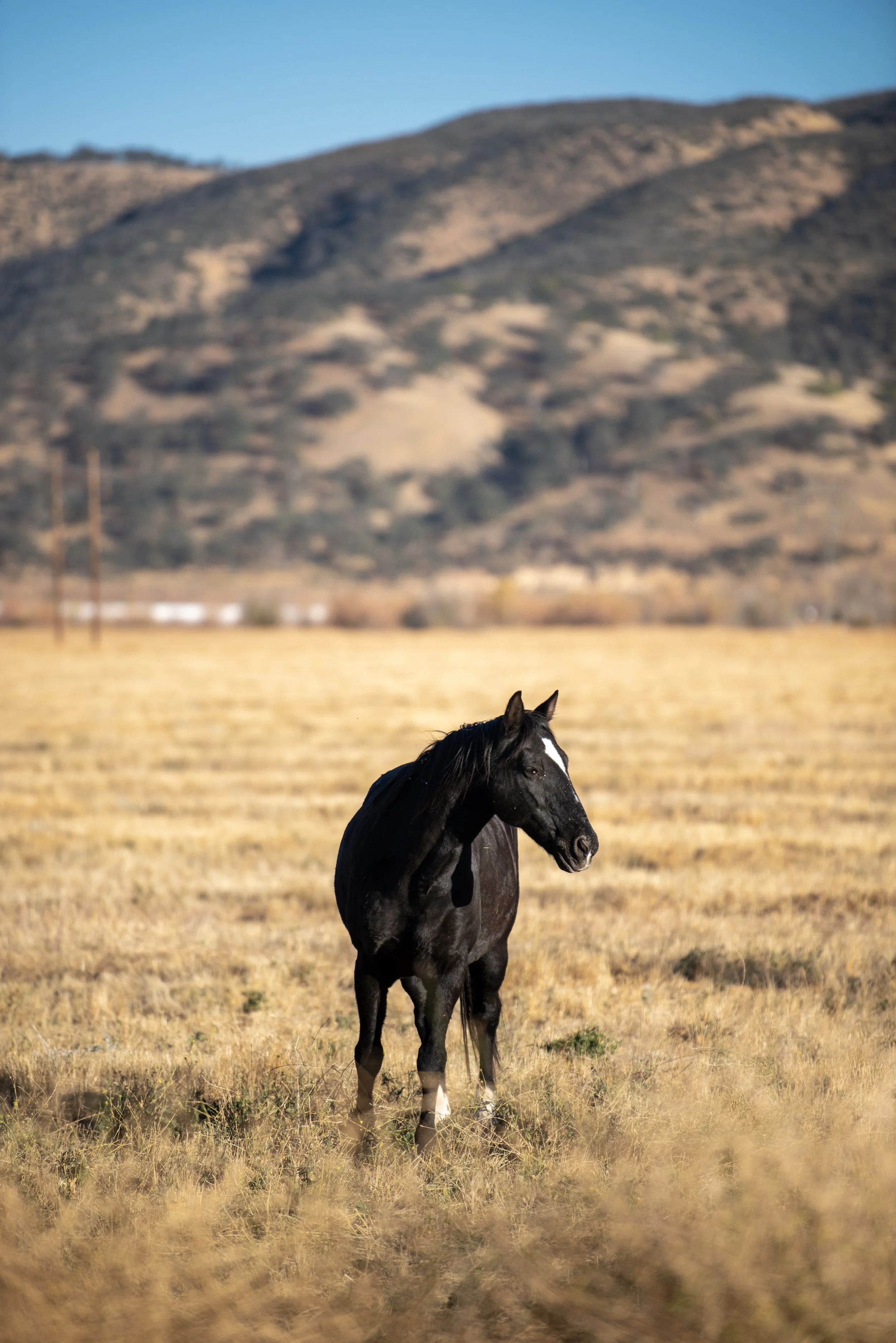 DSC_1513.jpeg