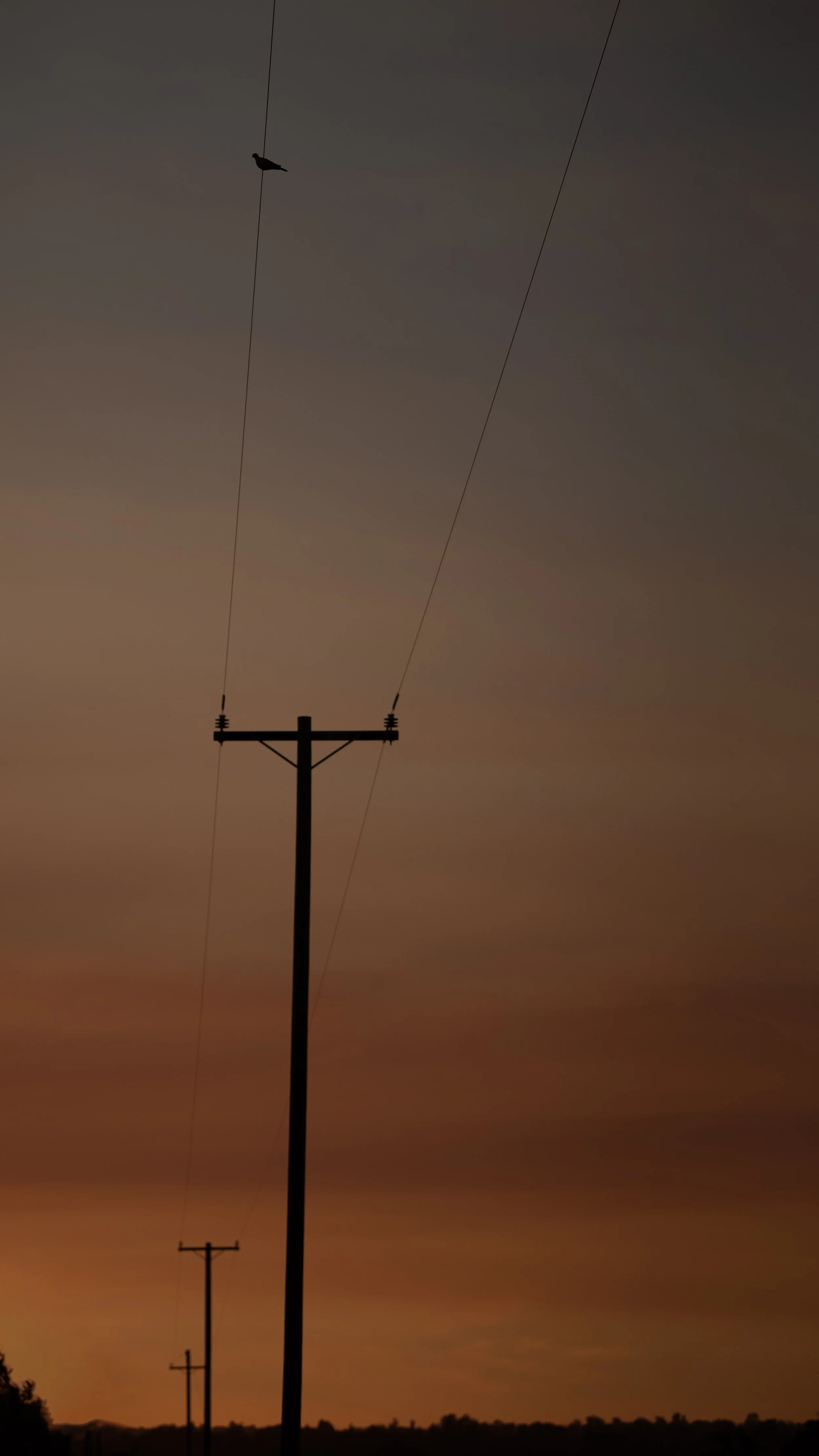 DSC_1652.jpeg