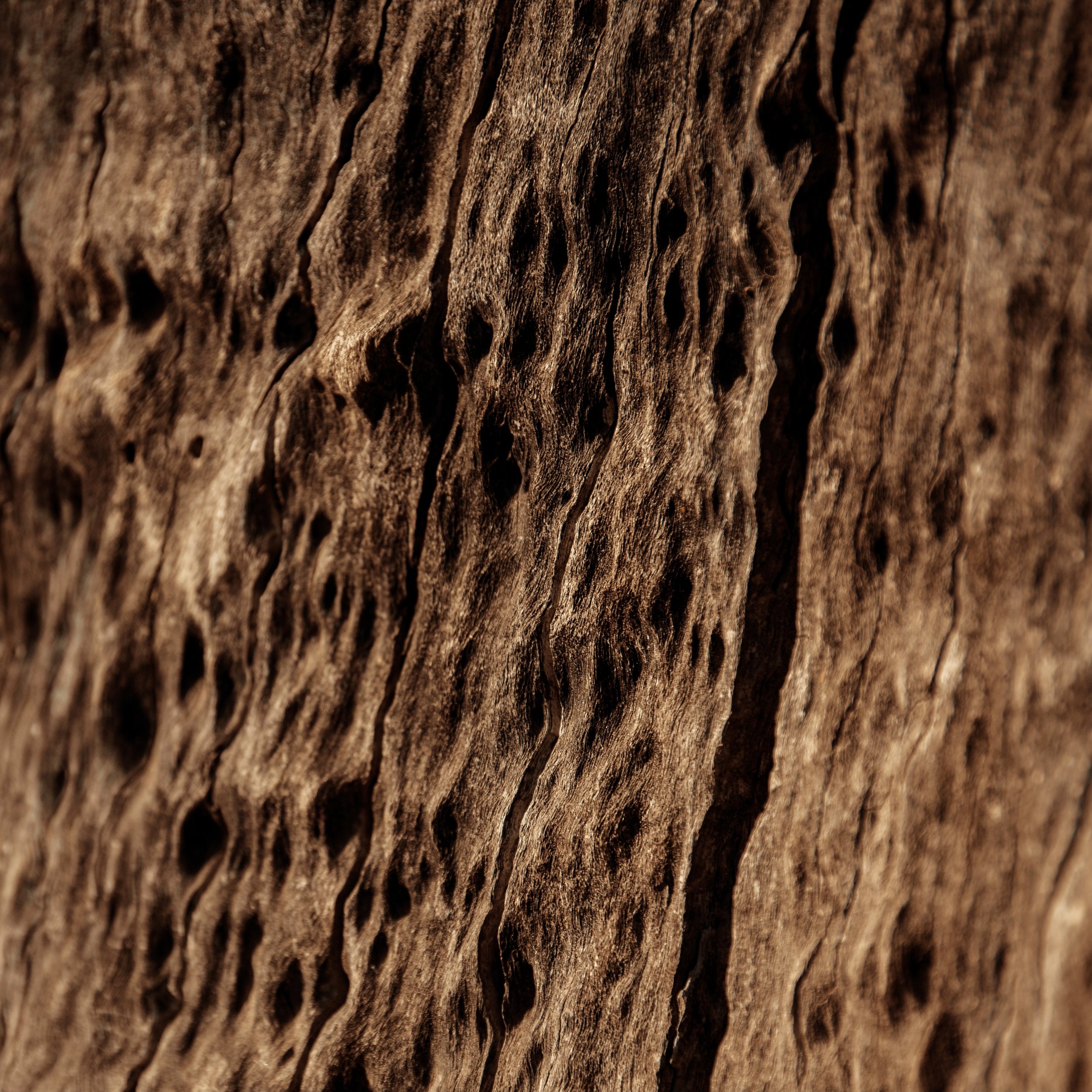 DSC_1116.jpeg