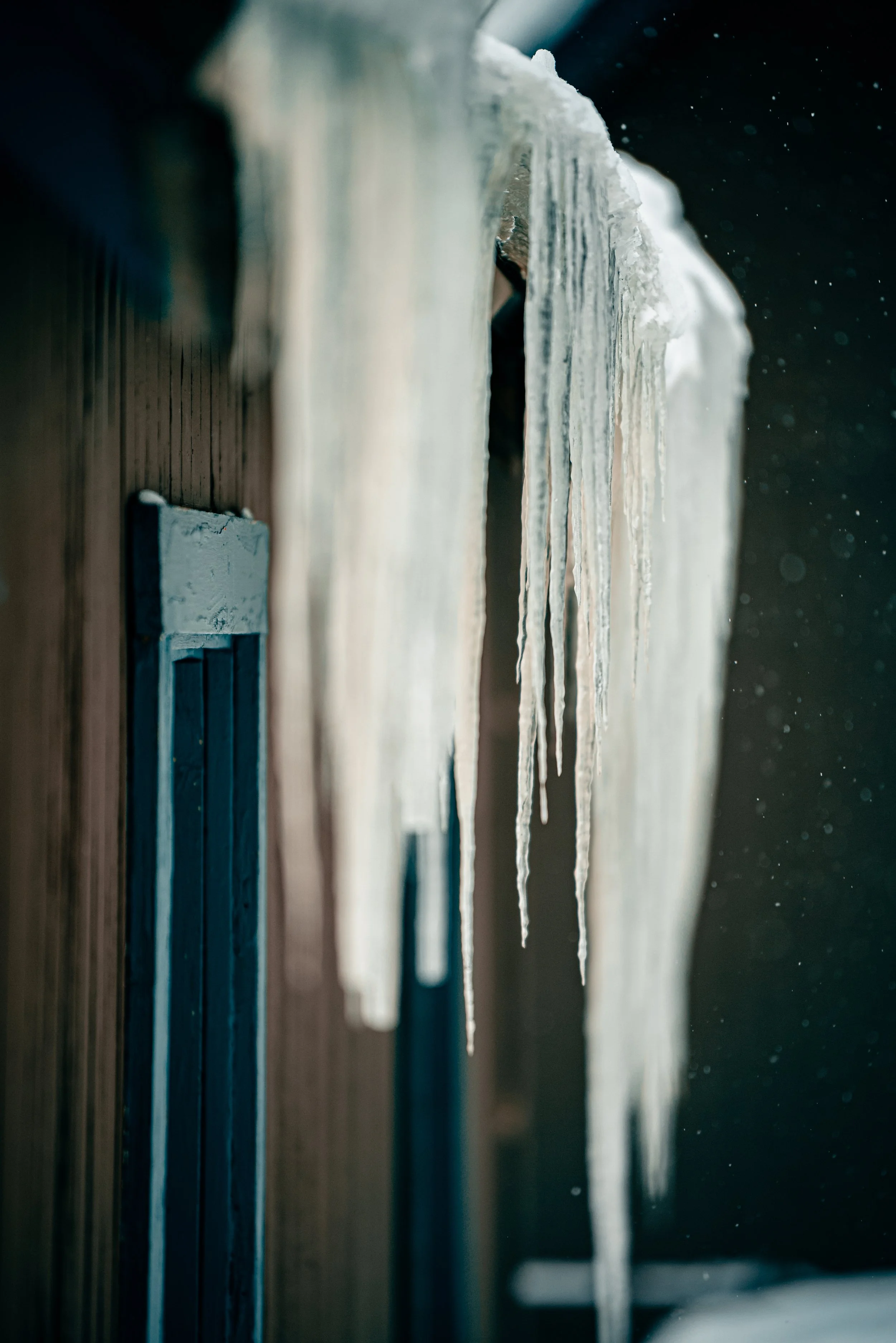 DSC_4472.jpeg