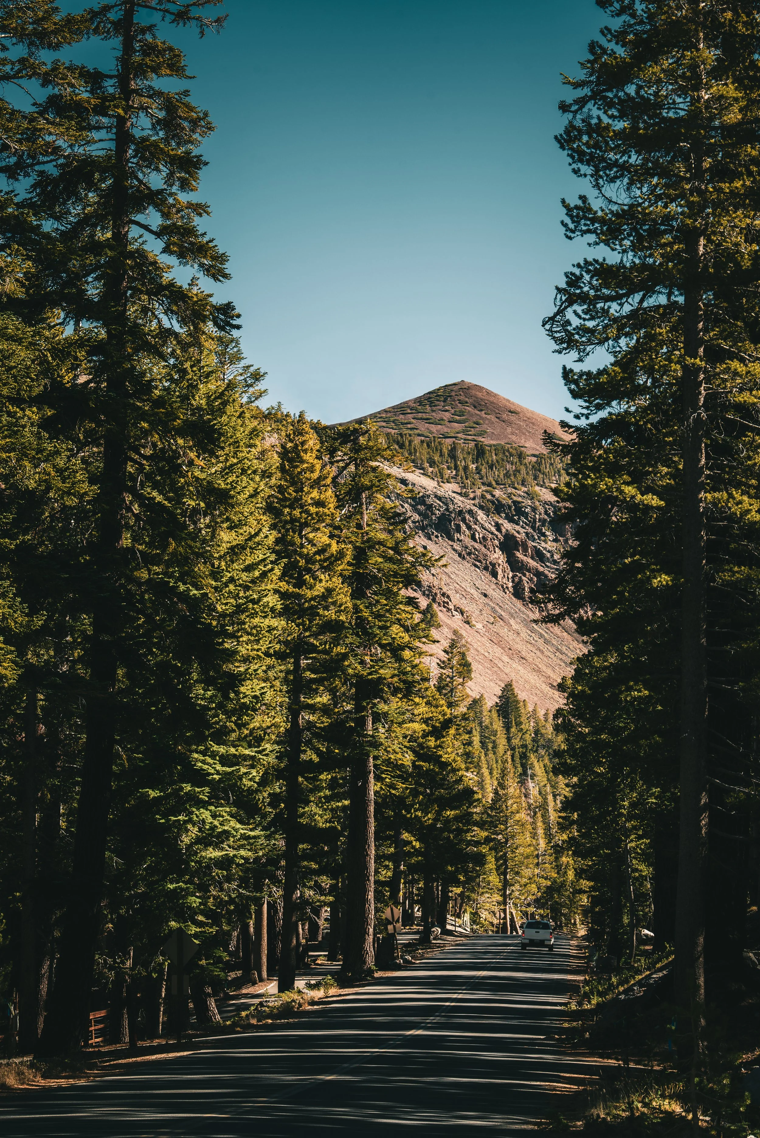 DSC_2549-Edit.jpeg