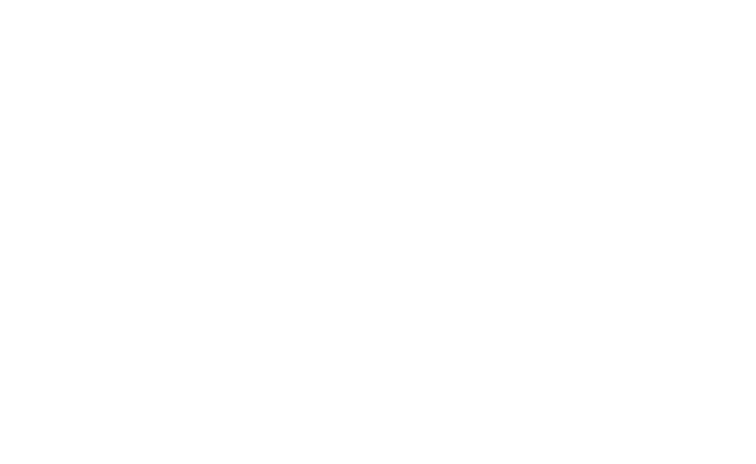 ApexOne Networks