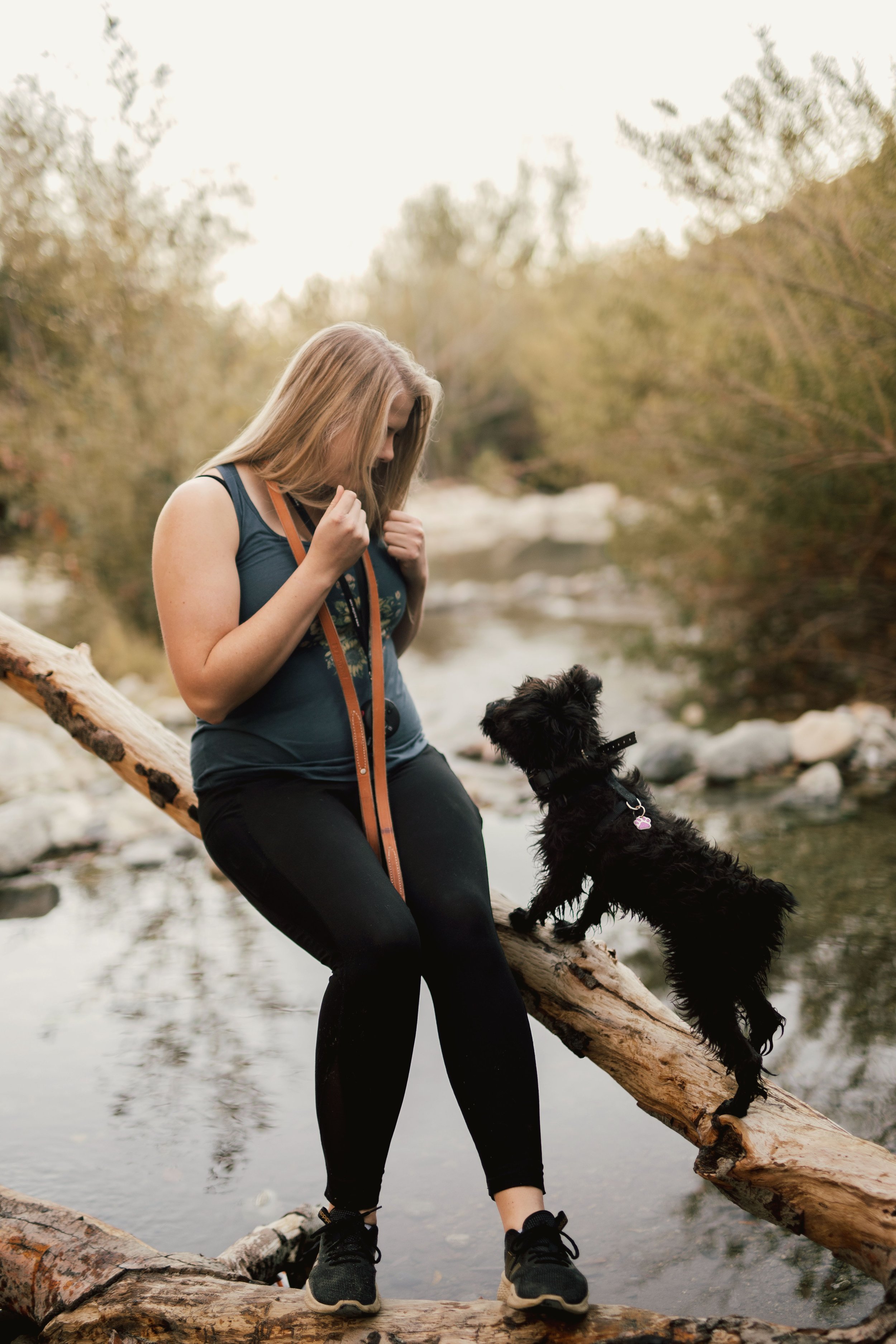 Puppy Foundations