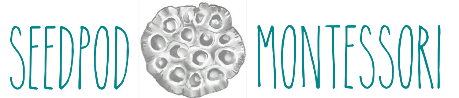 Seedpod Montessori
