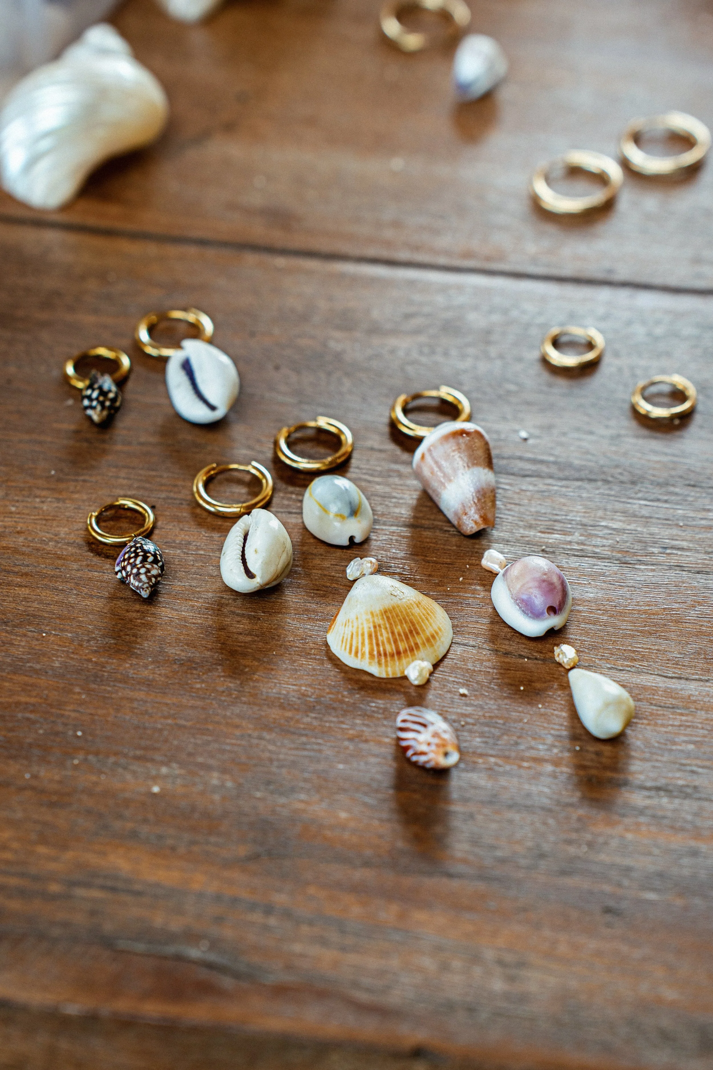 Various seashells and gold rings scattered on a wooden surface.