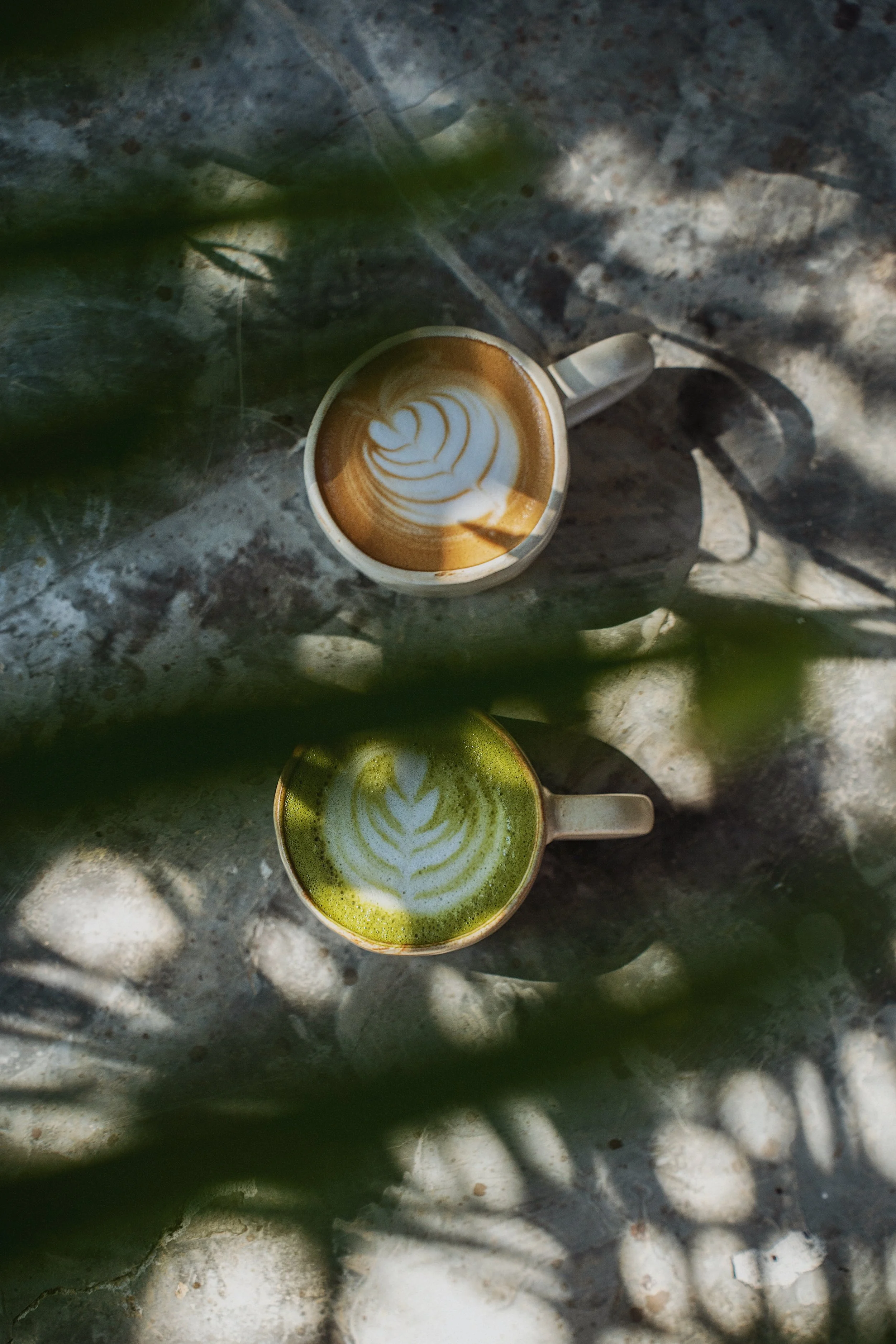 Two cups of coffee with latte art, placed on a stone surface, partially obscured by shadows and leaves.