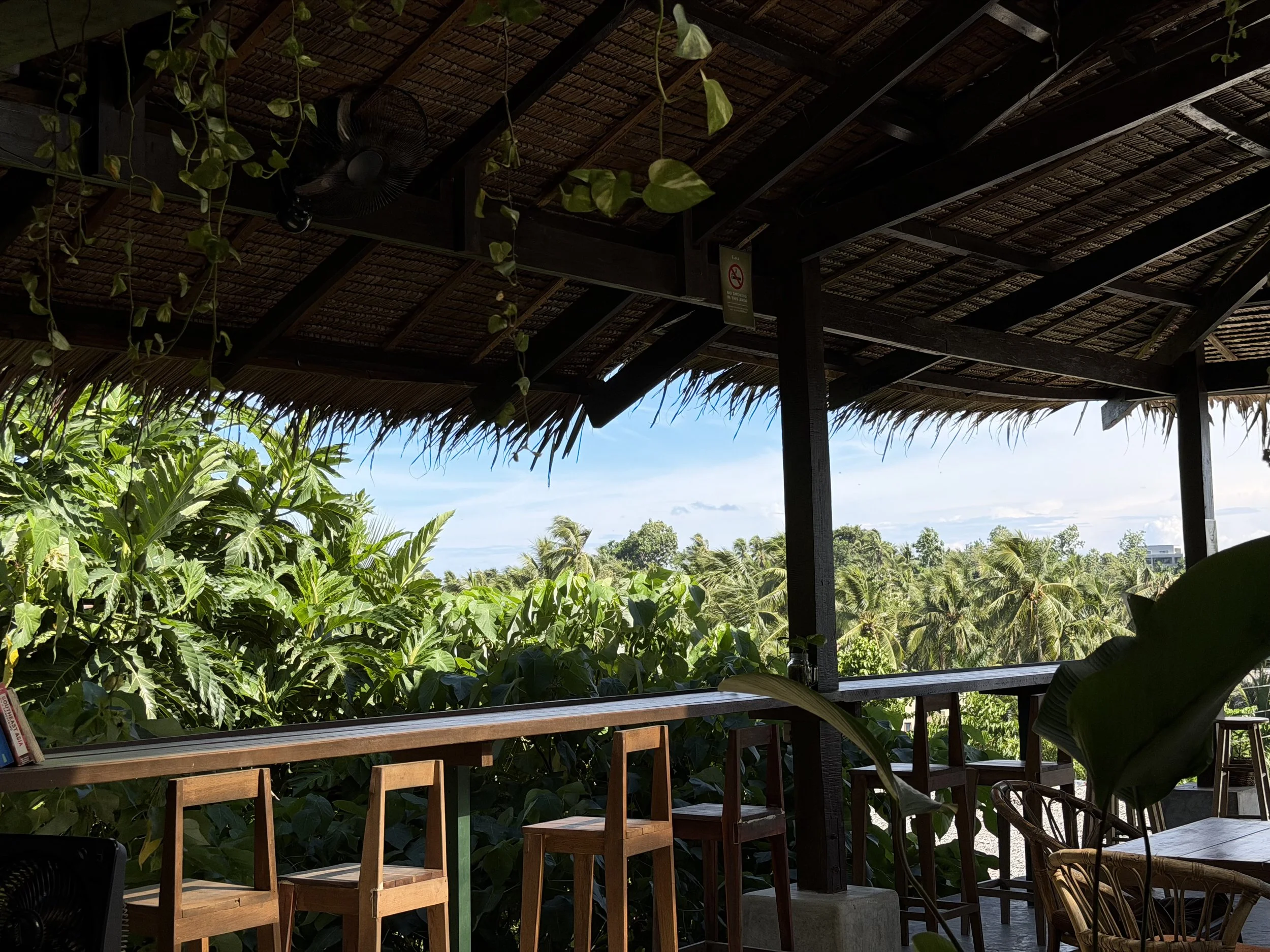 An outdoor wooden deck with chairs and a railing, overlooking lush green tropical plants and trees under a clear blue sky, shaded by a thatched roof and supported by dark wooden beams.