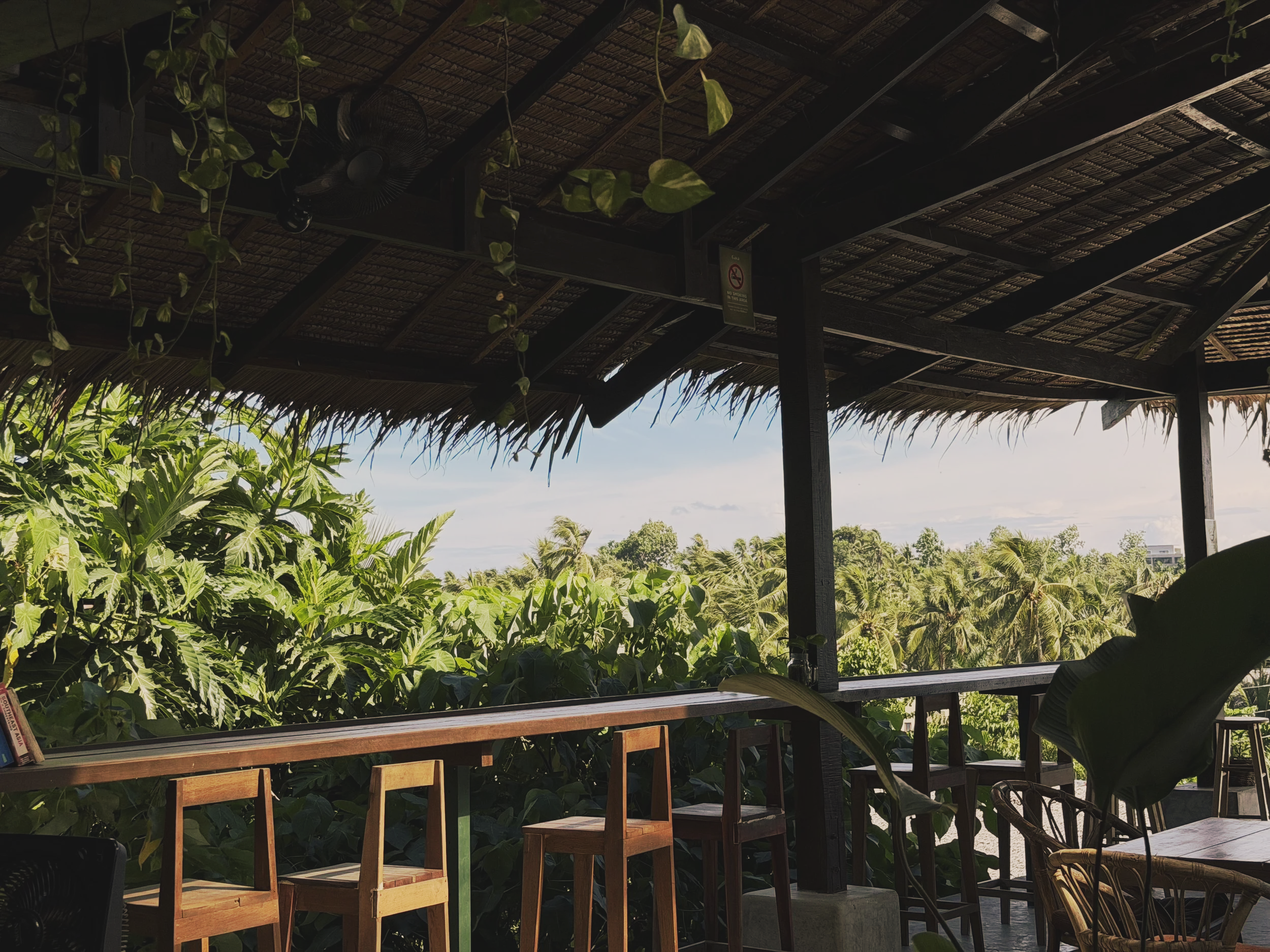 View from a covered outdoor terrace or balcony with wooden bar-height tables and chairs, lush green tropical plants, and a view of the sky and distant trees.