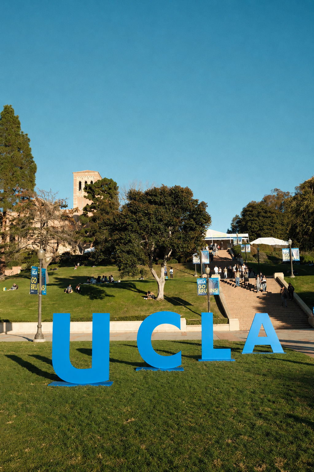 Bruin Blue.png