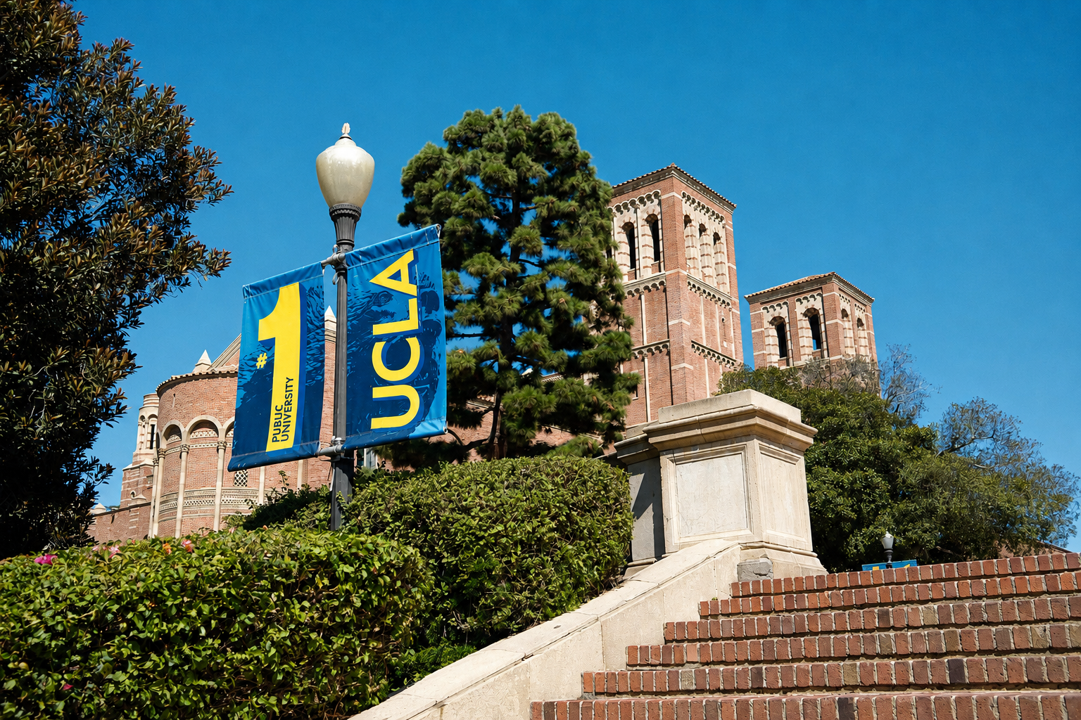 Bruin On Top.png