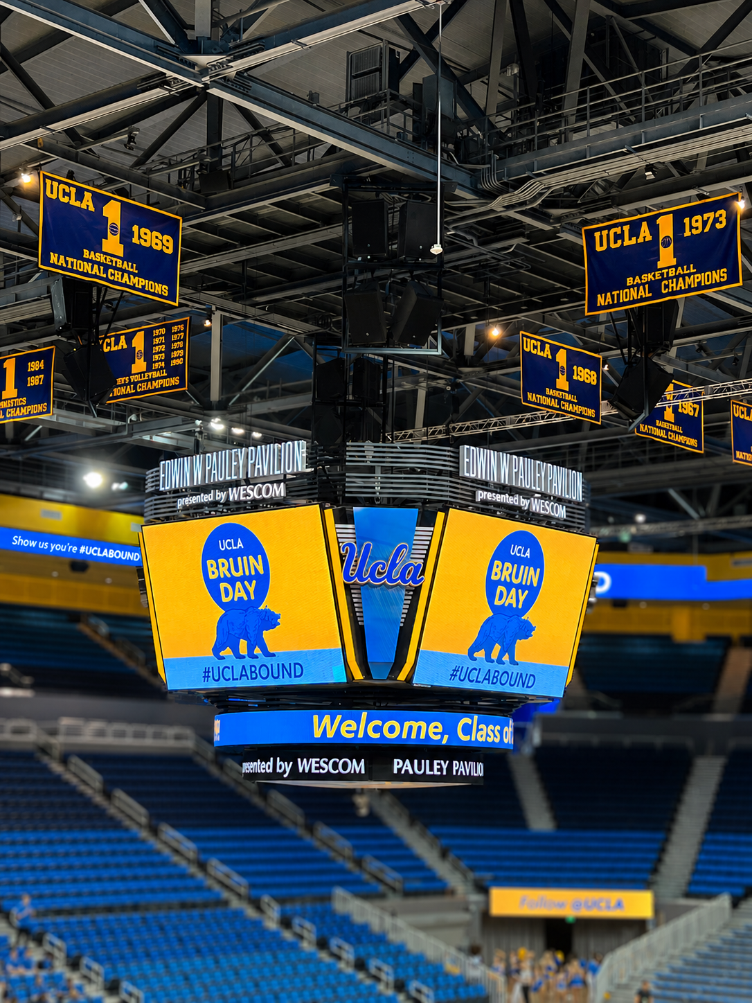 Bruin Legacy.png