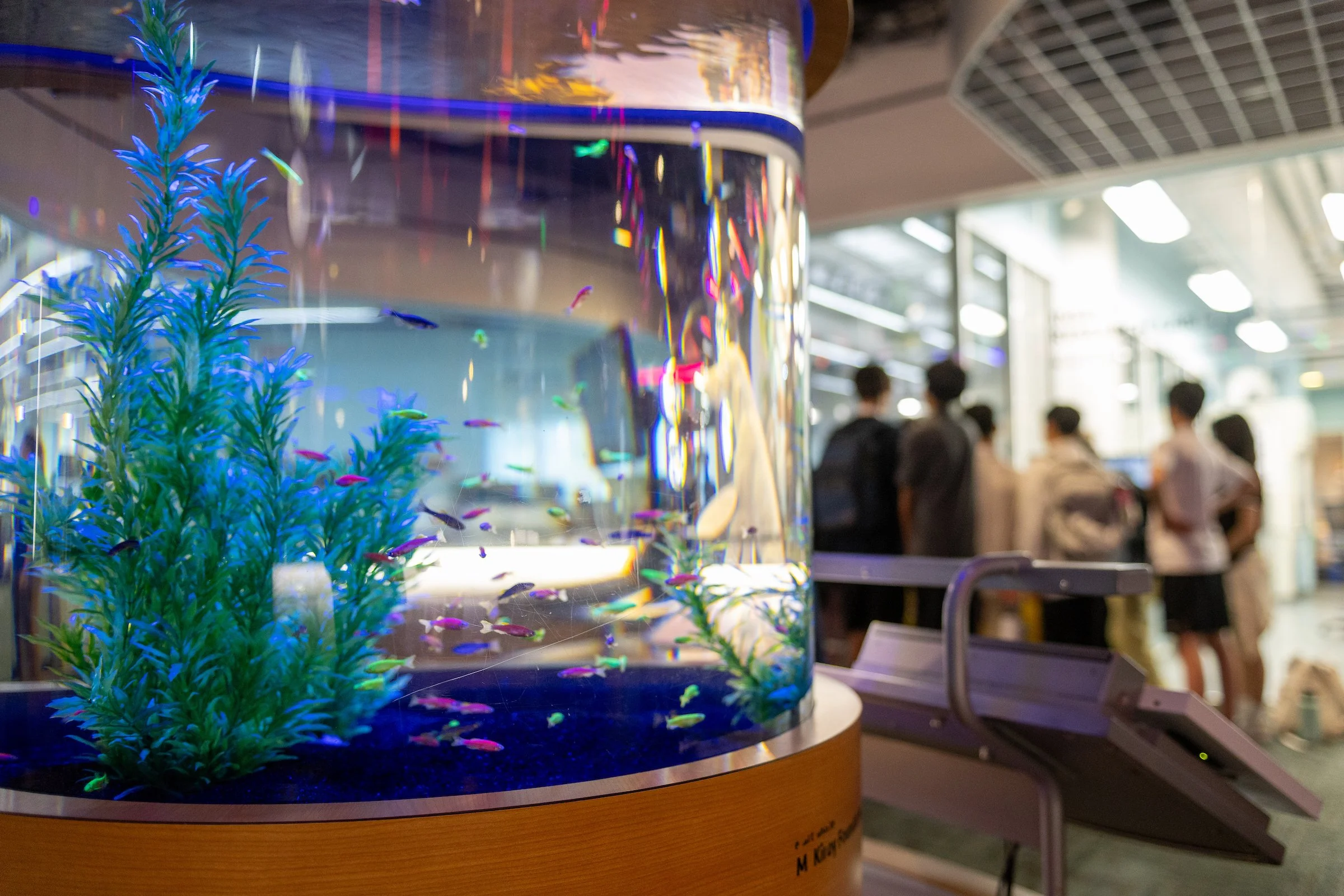 Museum-Of-Science-27.jpg