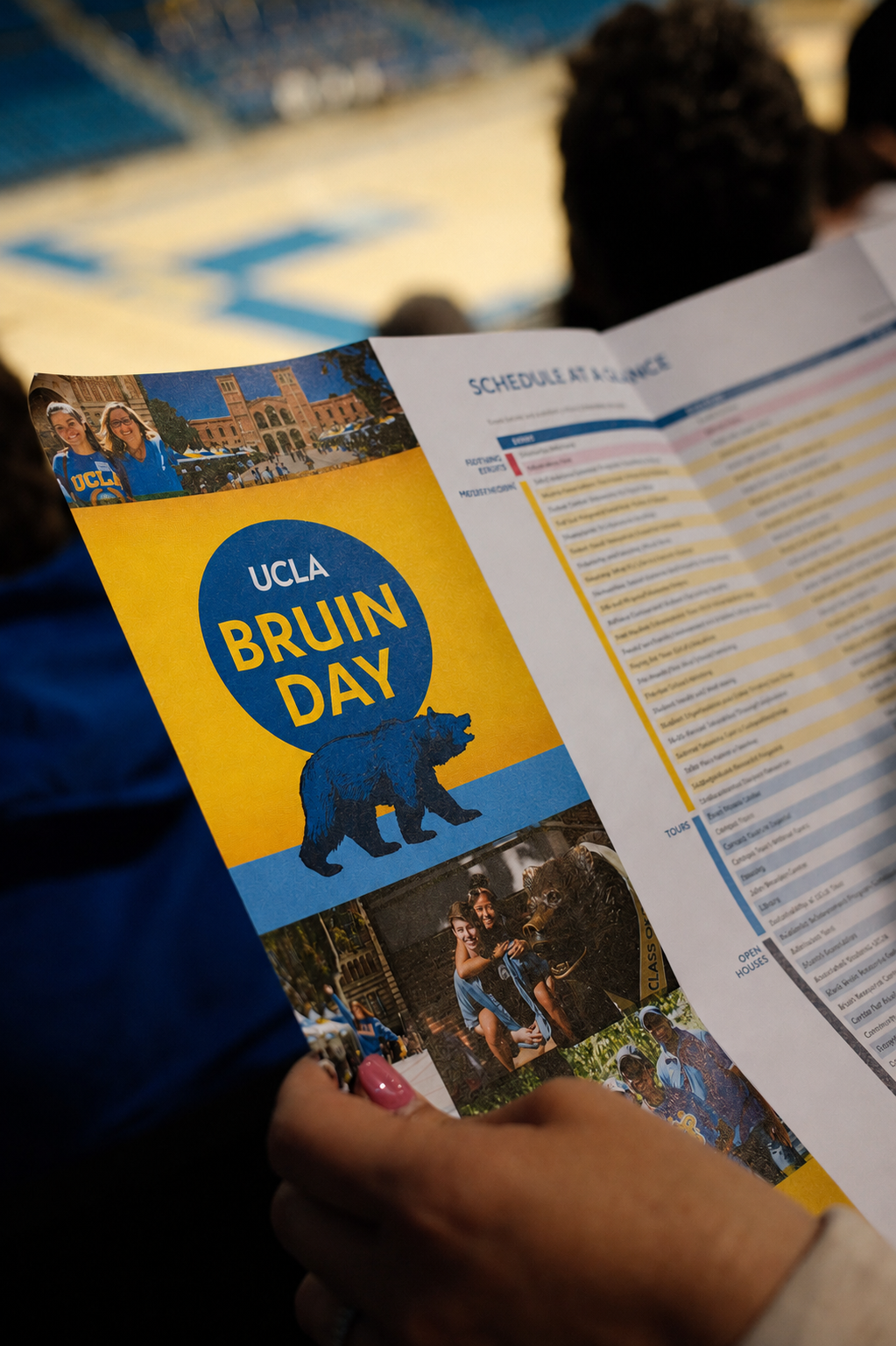 A Bruin Beginning.png