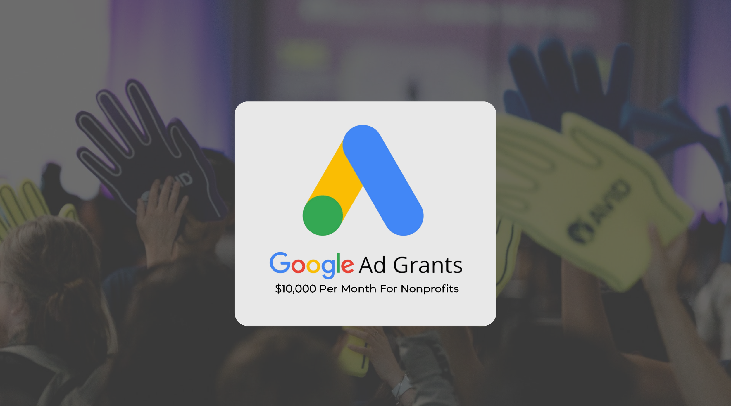 Paid Media Strategy & Optimization
