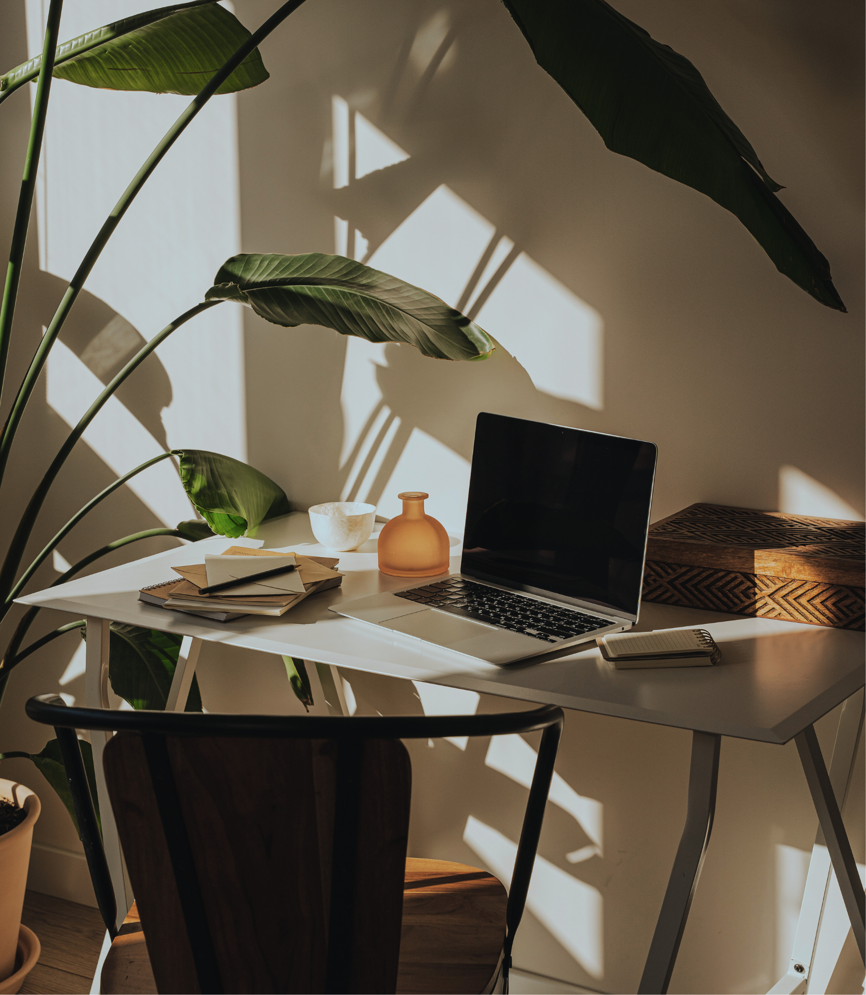 Sunlight creates shadow patterns of plant leaves and window panes on a white desk with a laptop, notebooks, a ceramic bowl, and a small amber glass bottle in a cozy indoor setting.