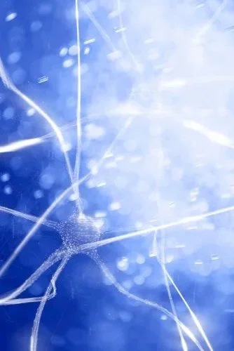 EMDR neurons rewiring in the brain