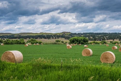 Laurel, Montana