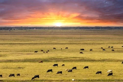 Sidney, Montana The Sunrise City