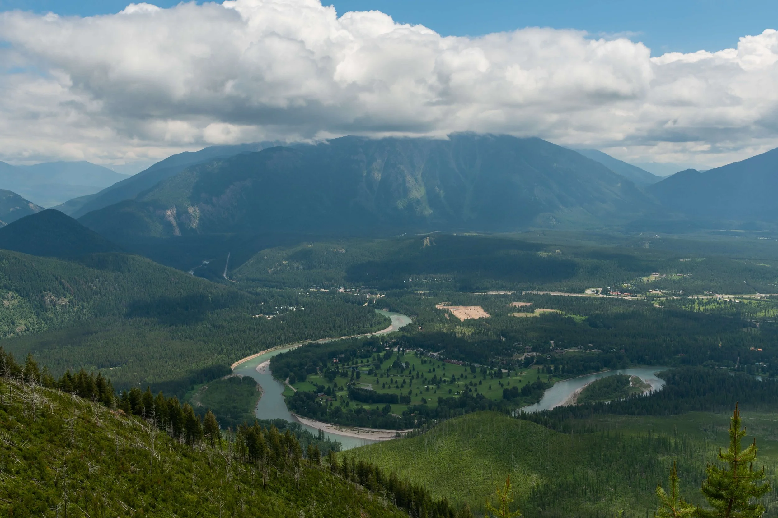 The Flathead River near Columbia Falls, Montana